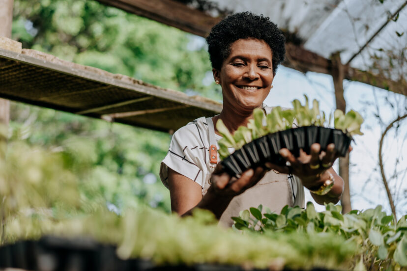 Sustainable farming practice