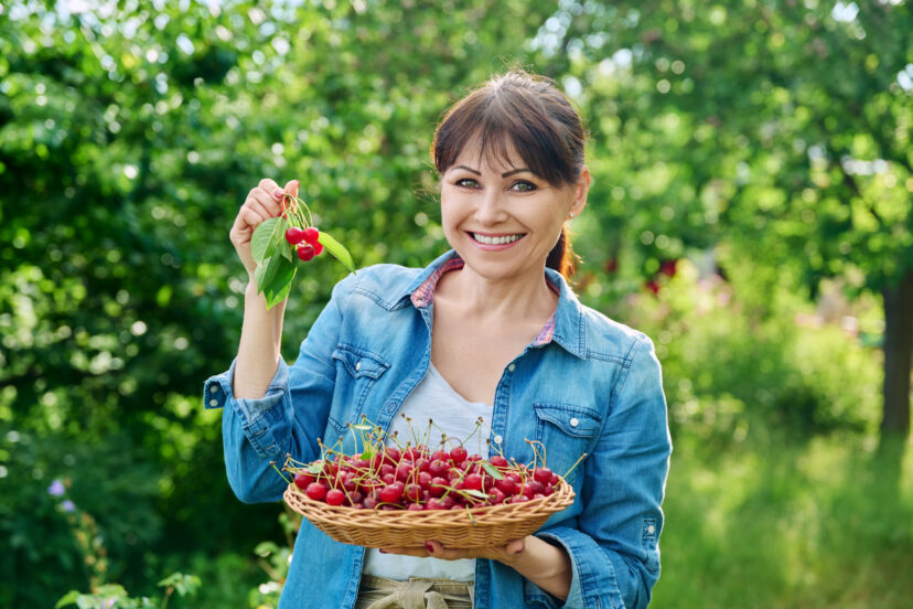 berry garden