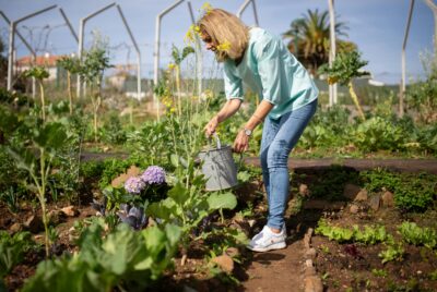 modern homesteading