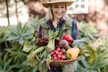 how to start homesteading