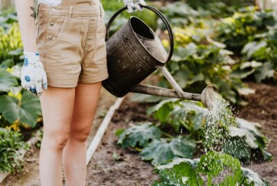 homesteading skills