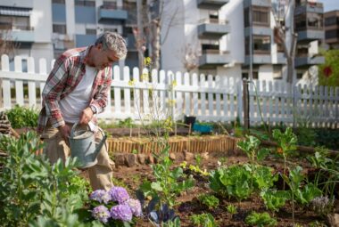 Companion Planting Guide