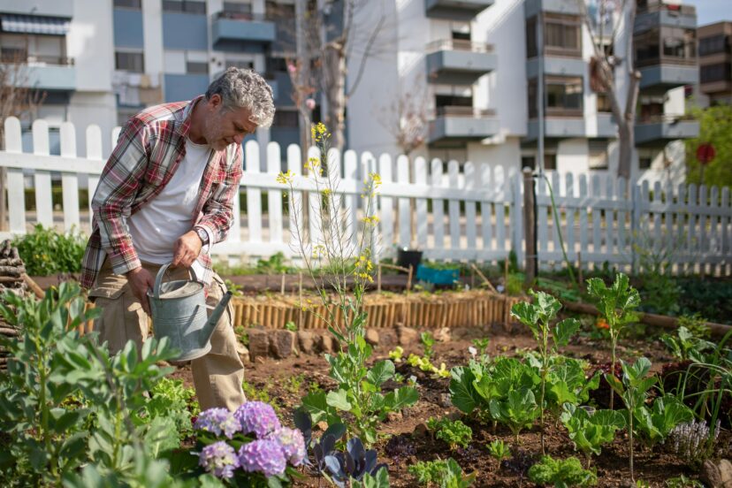 Companion Planting Guide