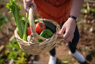vegan homesteading