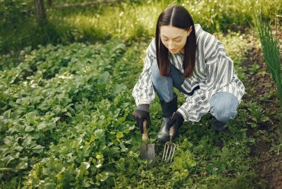 Basic Homesteading Skills