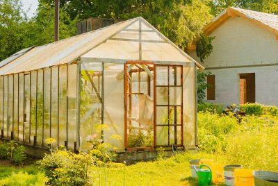 diy greenhouse