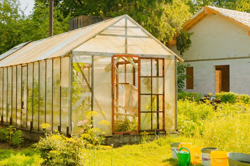 diy greenhouse